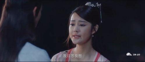 三级味道在线观看,一场味蕾与情感的深度之旅  第2张